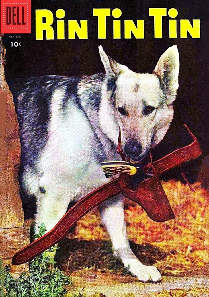 This image is a link to the PDF of the comic book RIN TIN TIN from December 1955.