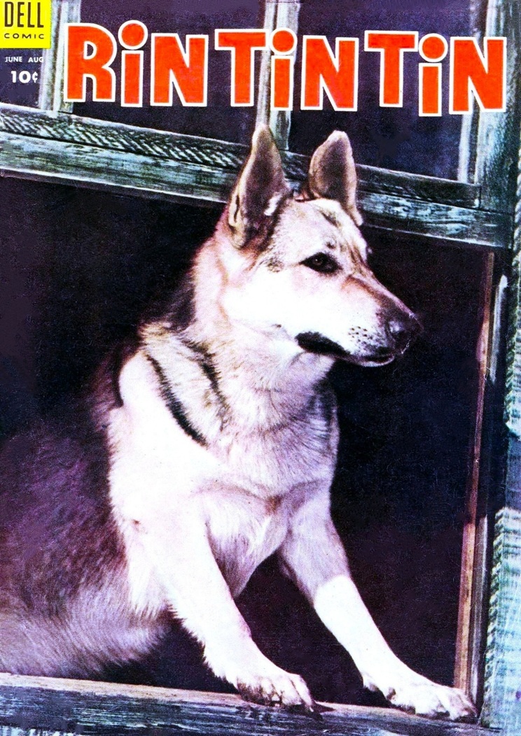 This image is a link to the PDF of the comic book RIN TIN TIN from June 1954.