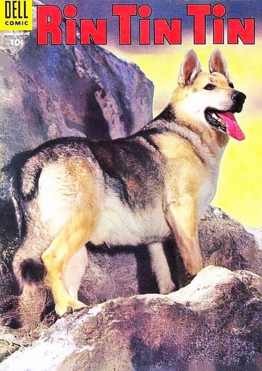 This image is a link to the PDF of the comic book RIN TIN TIN from June 1955.