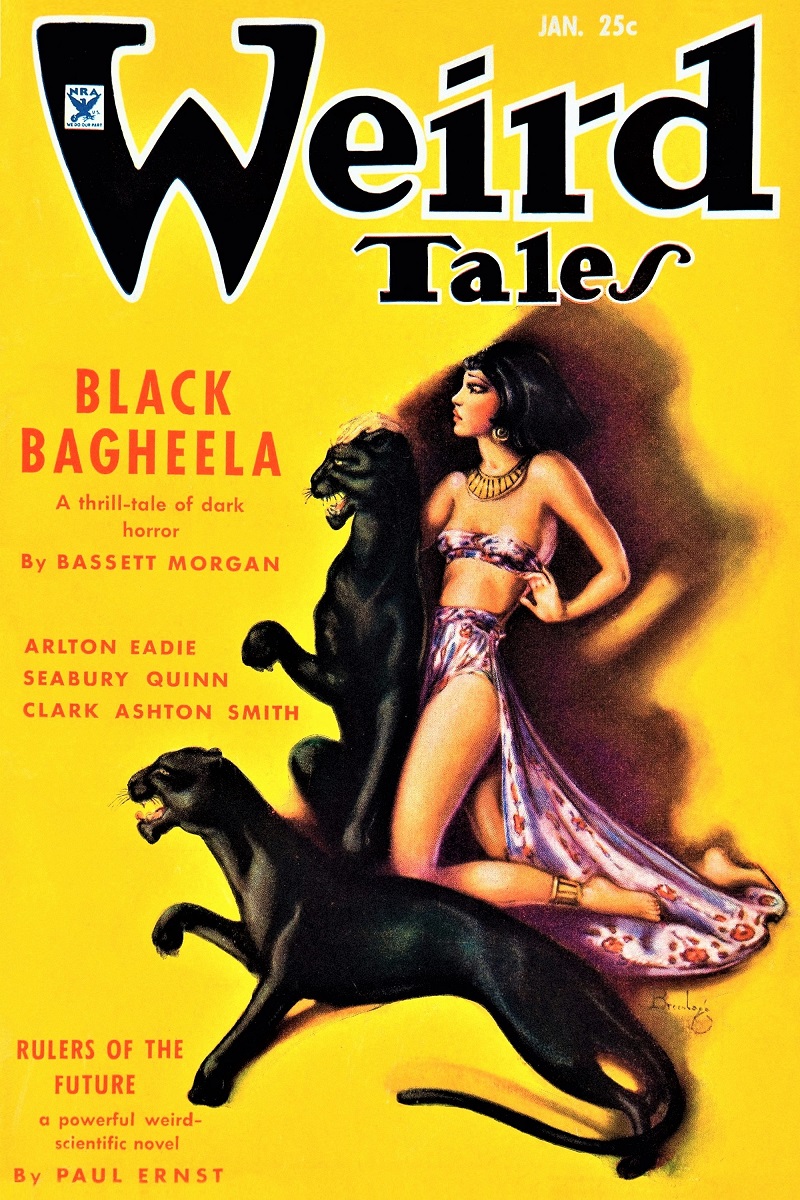 WEIRD TALES - January 1935