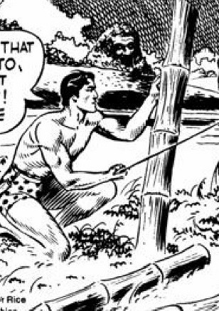 TARZAN COMIC STRIPS - 1959