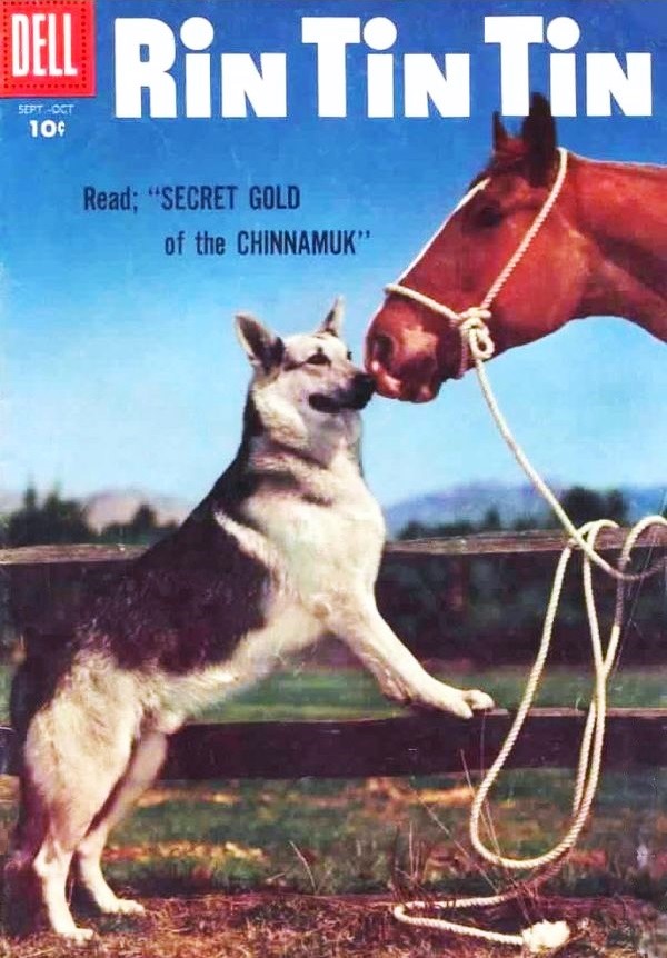 RIN TIN TIN comics